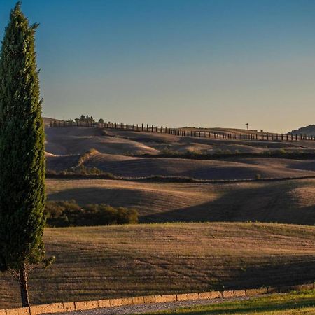Casa Lavanda - Podere Fossaccio Asciano Zewnętrze zdjęcie