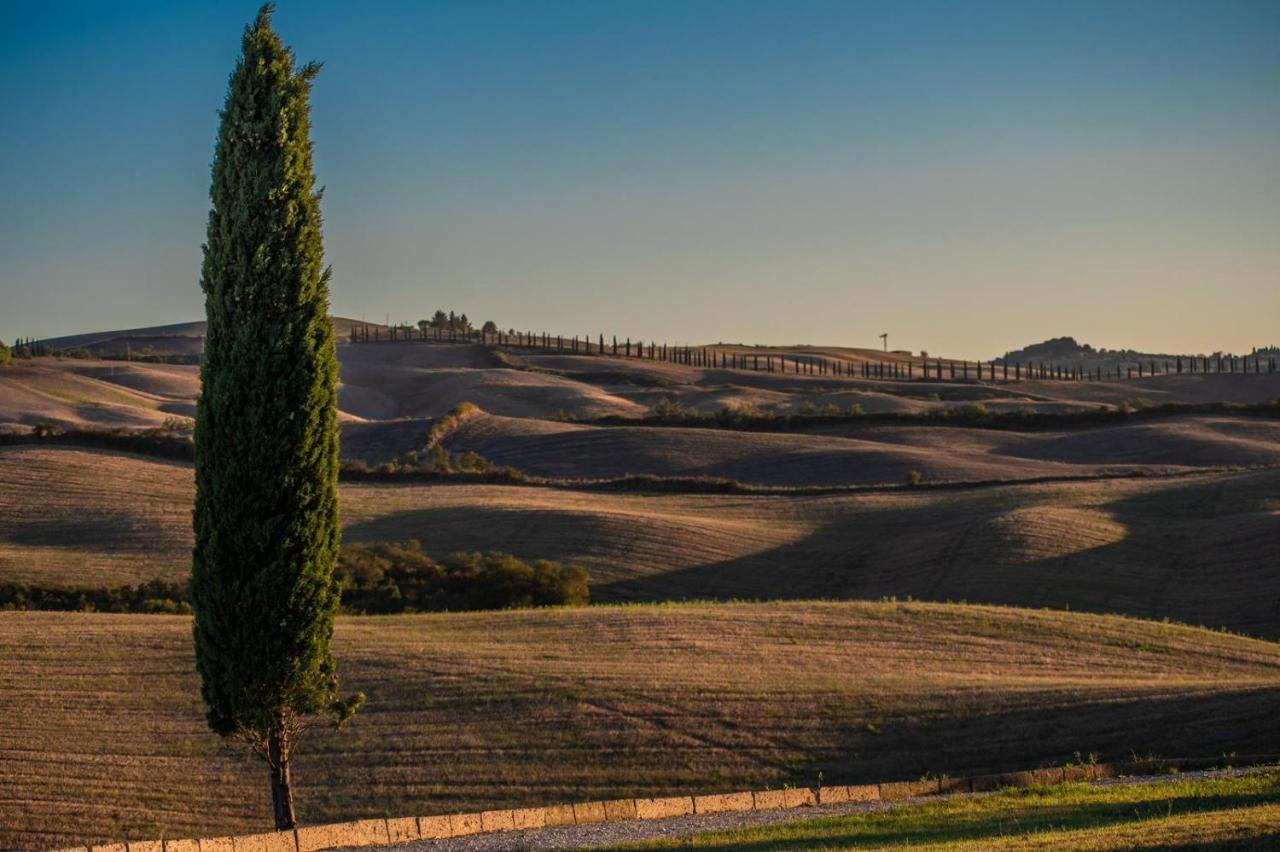 Casa Lavanda - Podere Fossaccio Asciano Zewnętrze zdjęcie